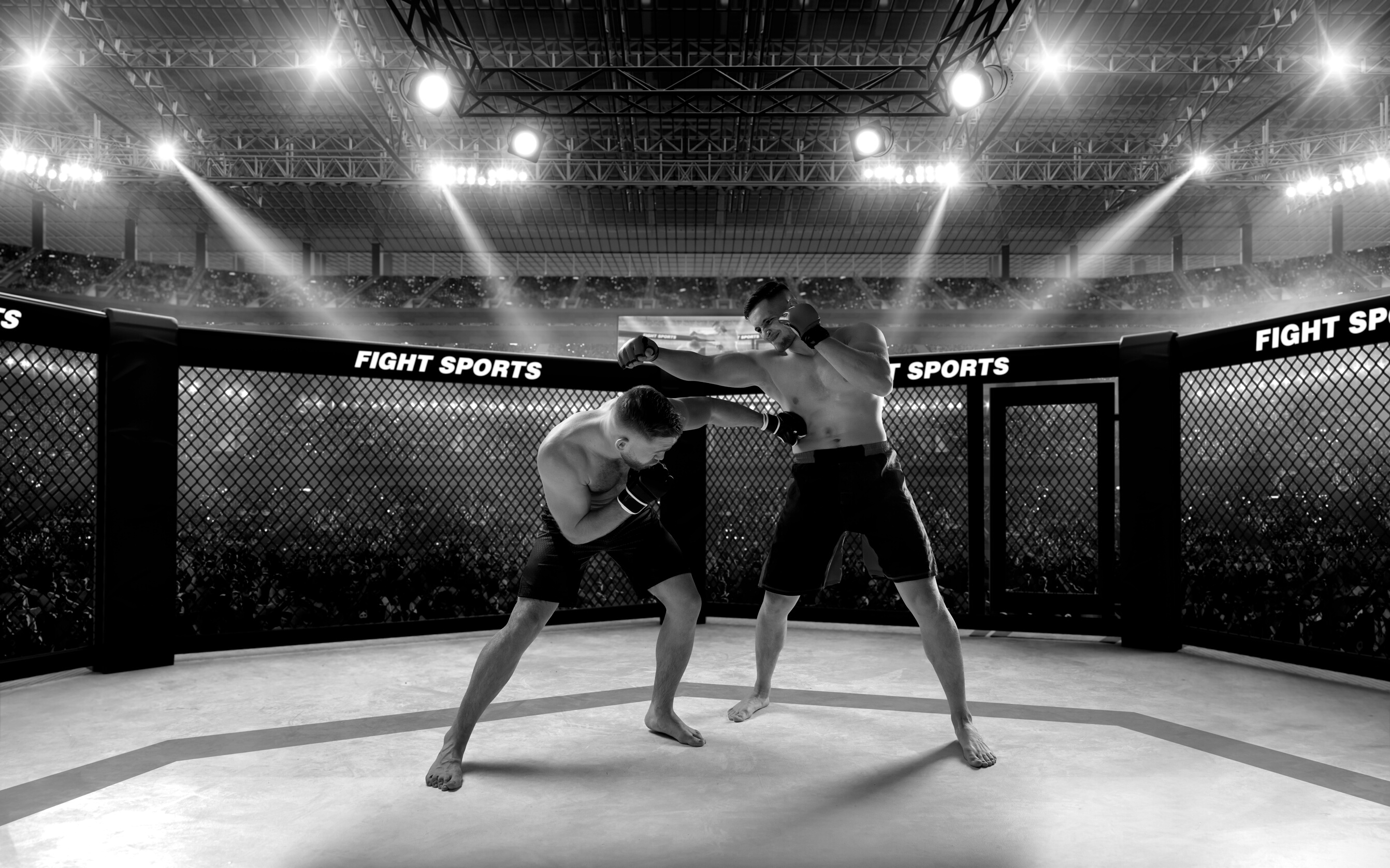 MMA men.
